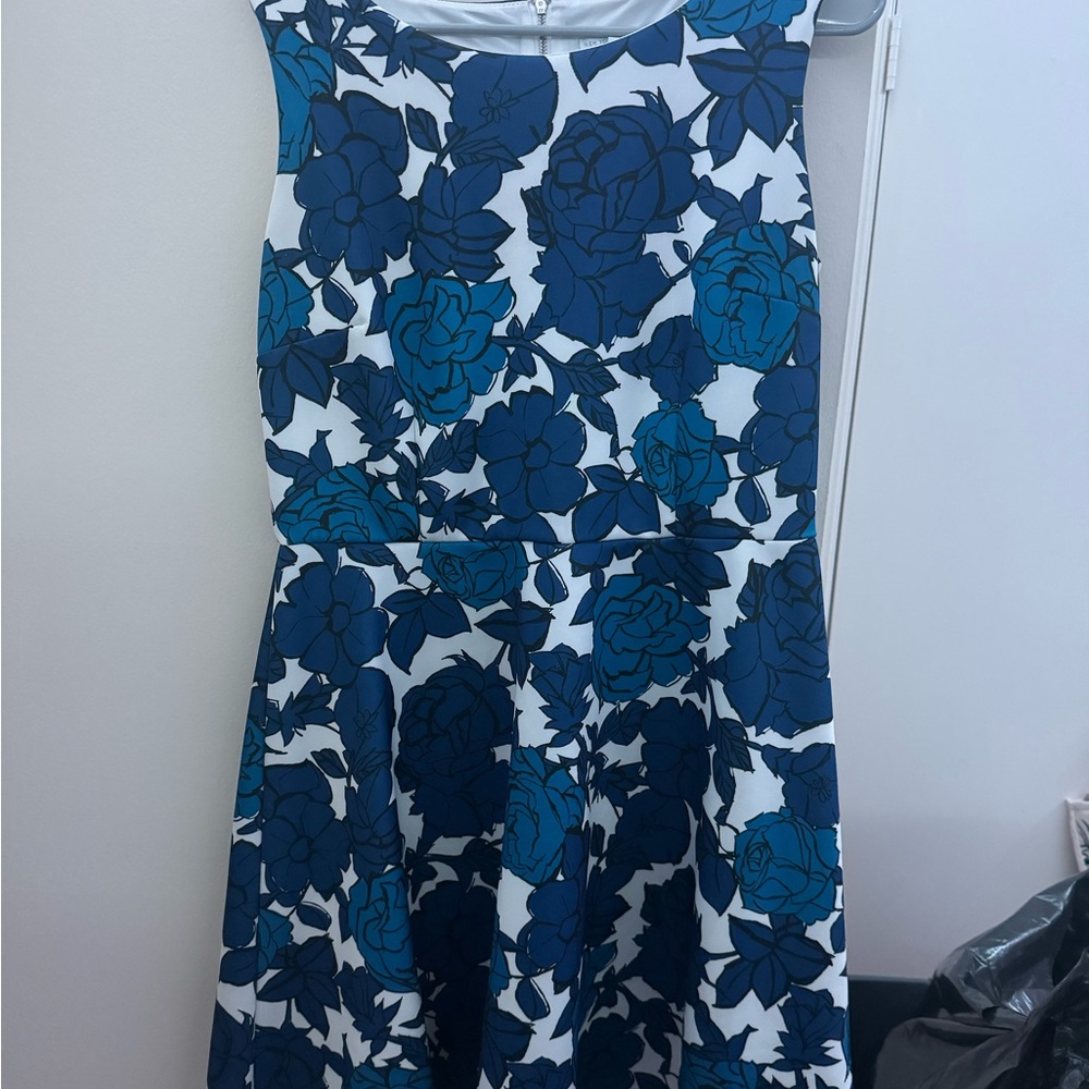 New York & Company Blue Floral Mini Dress